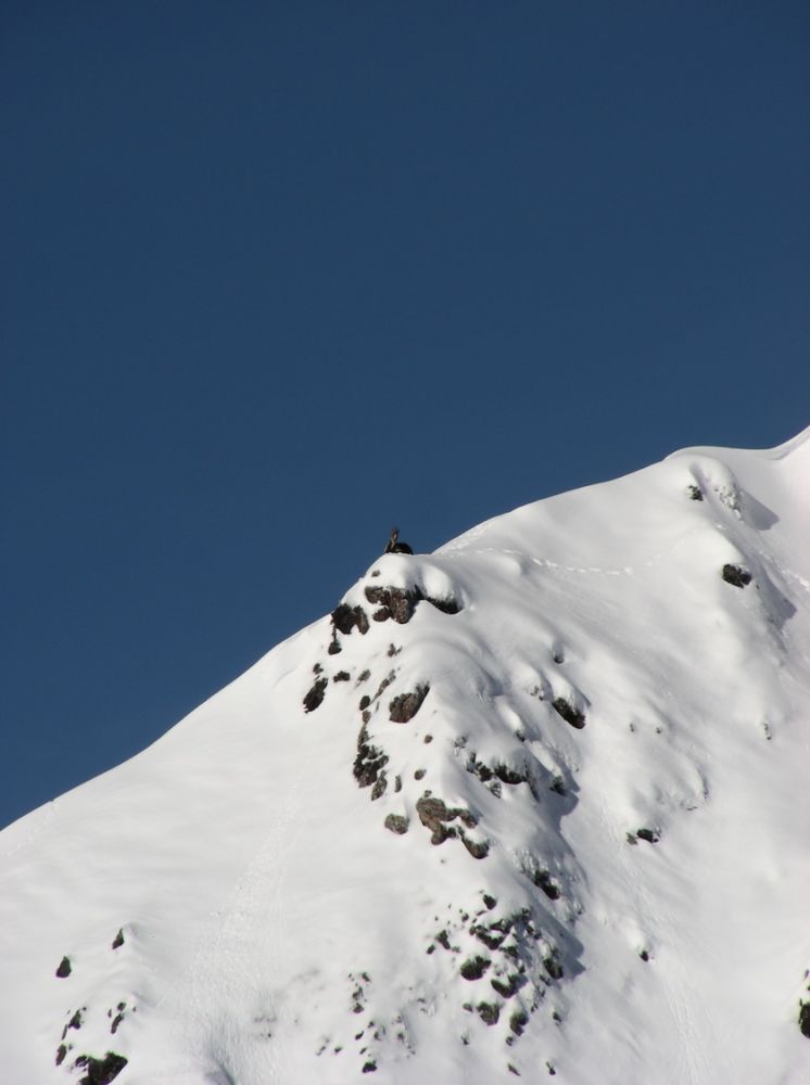article_Cecire à ski 2015_AFDV_03