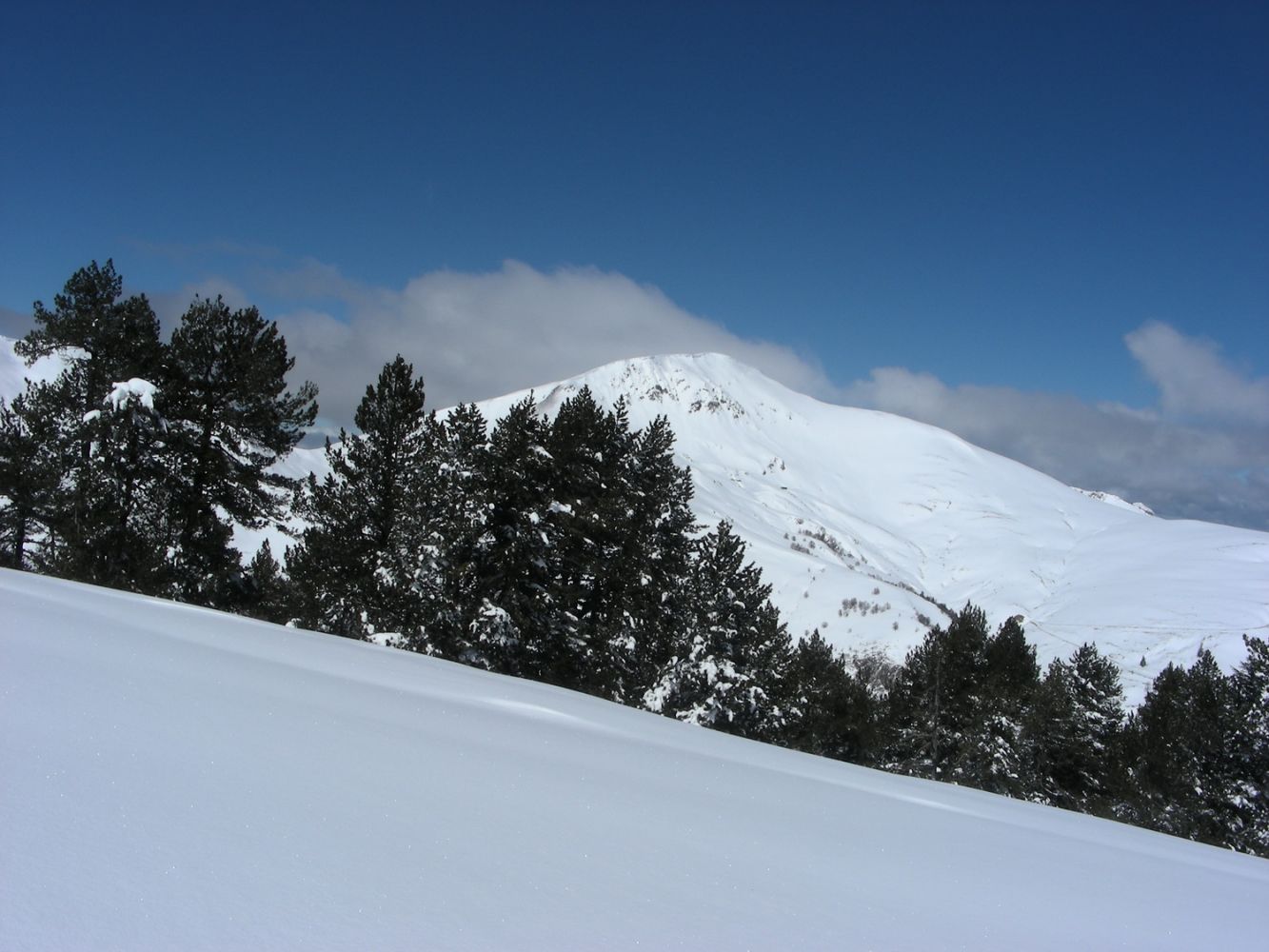 Cap de la lite_19