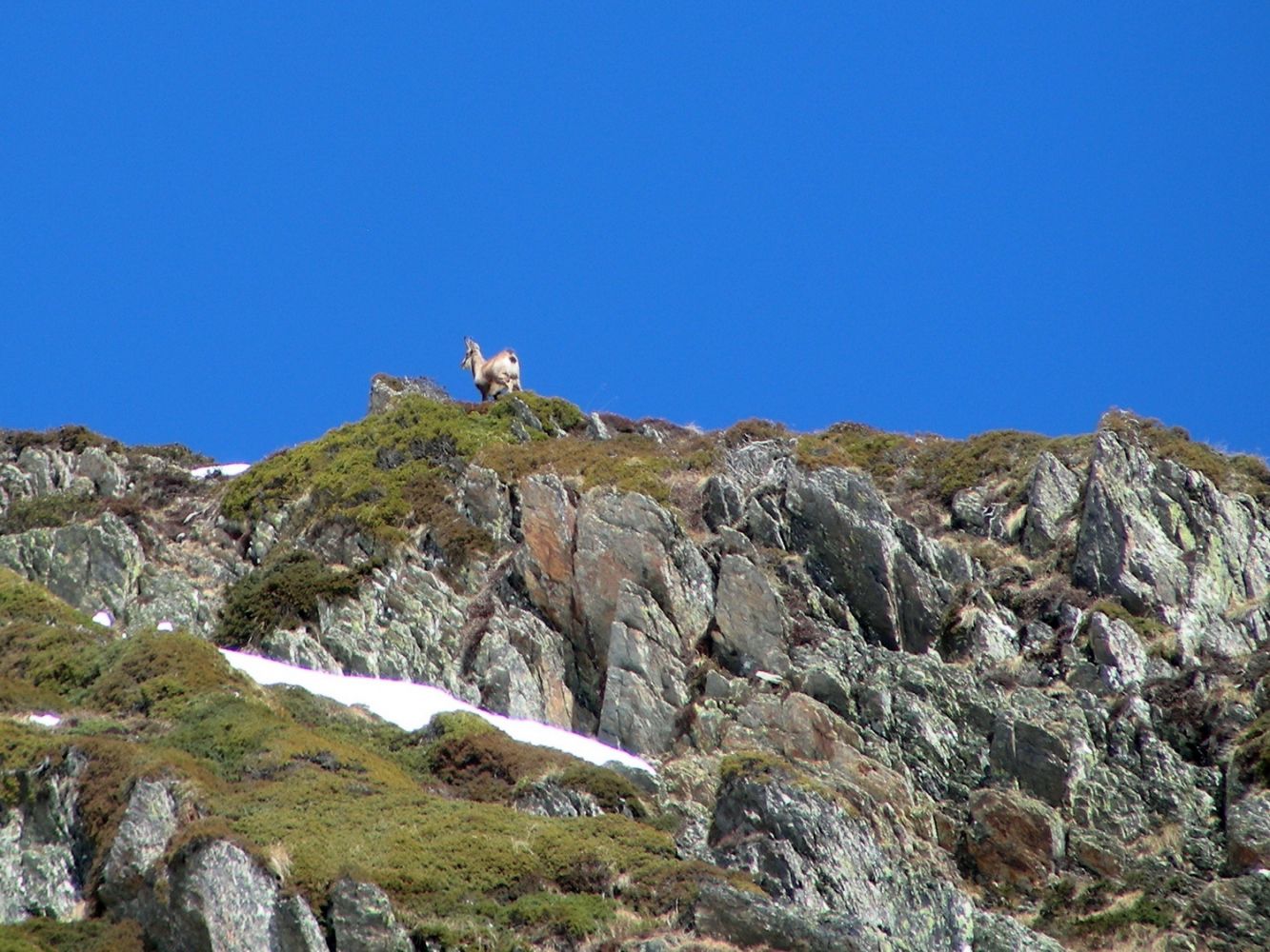 article le col de la Freche à ski_15