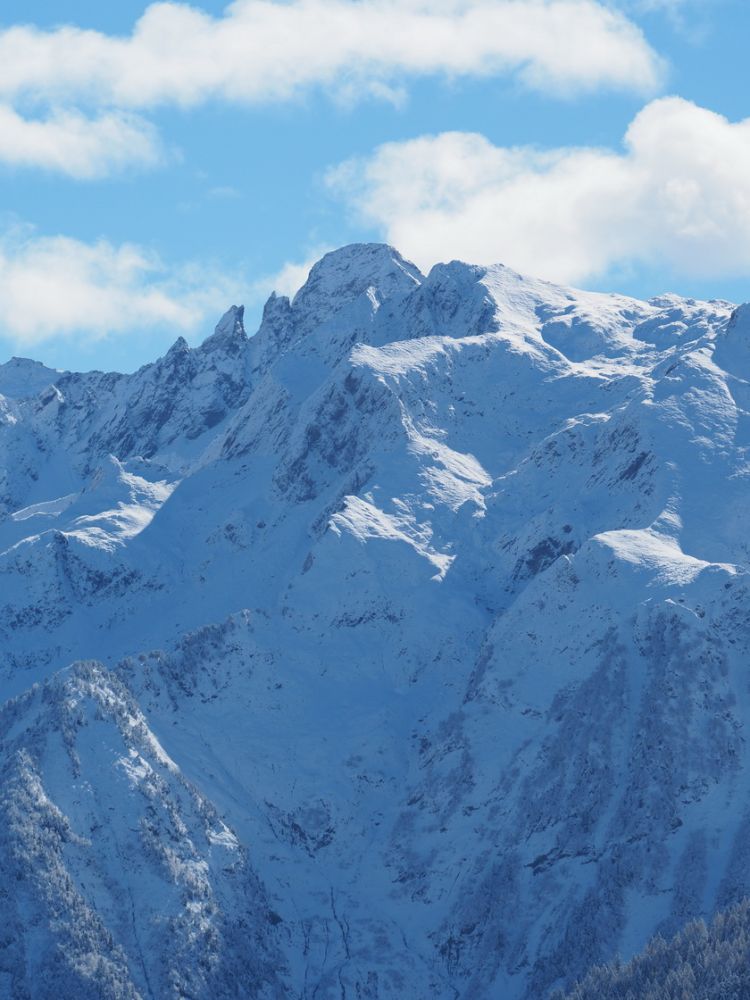 article_161107_1ère neige_05