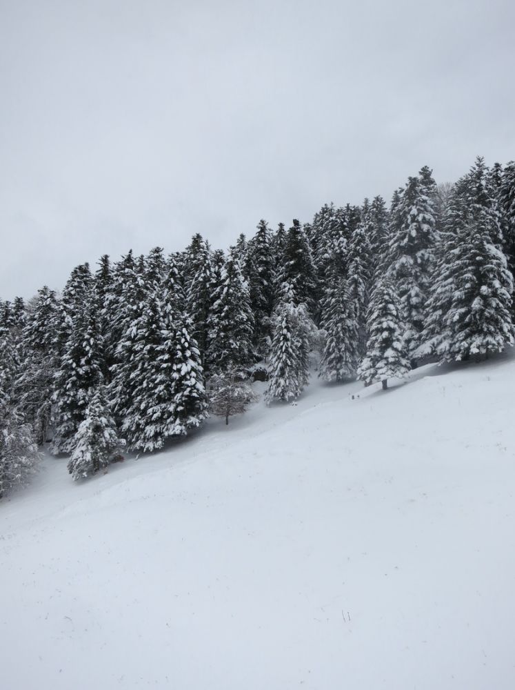 aricle_1701_Enfin la neige!_03