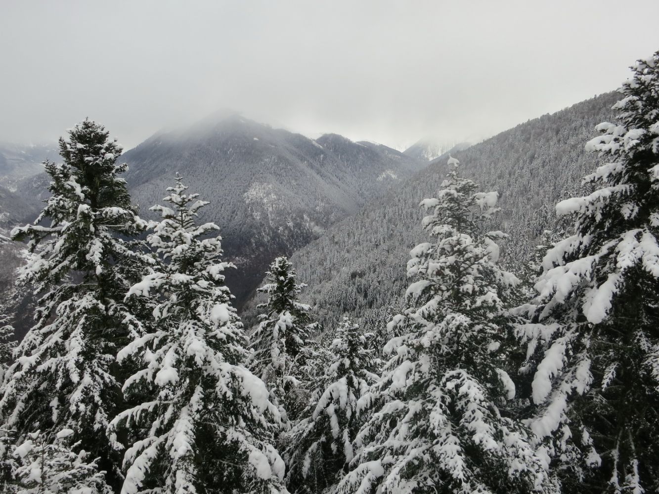 aricle_1701_Enfin la neige!_05