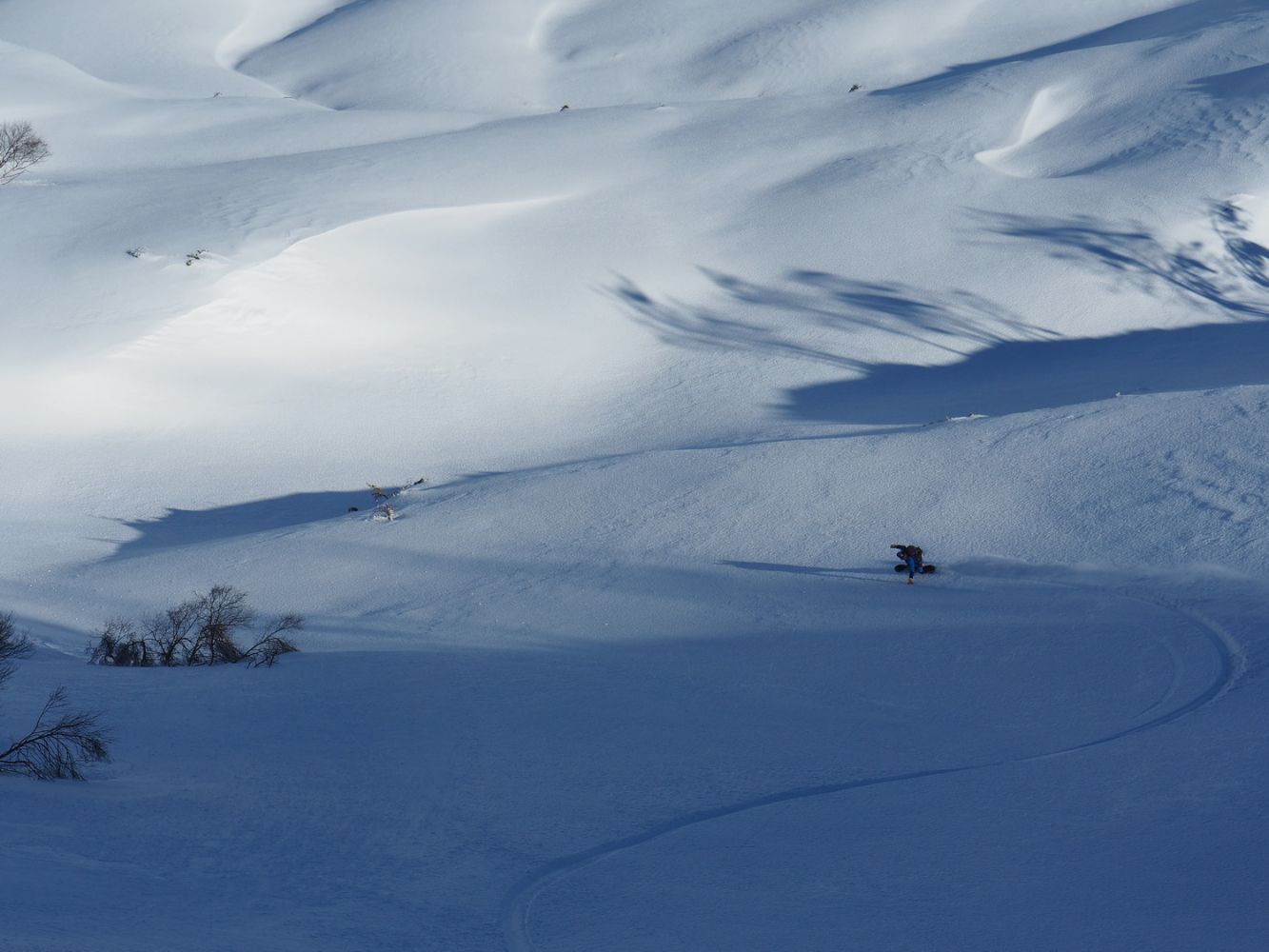 article_1704_Rappel toi l'Hiver dernier_16