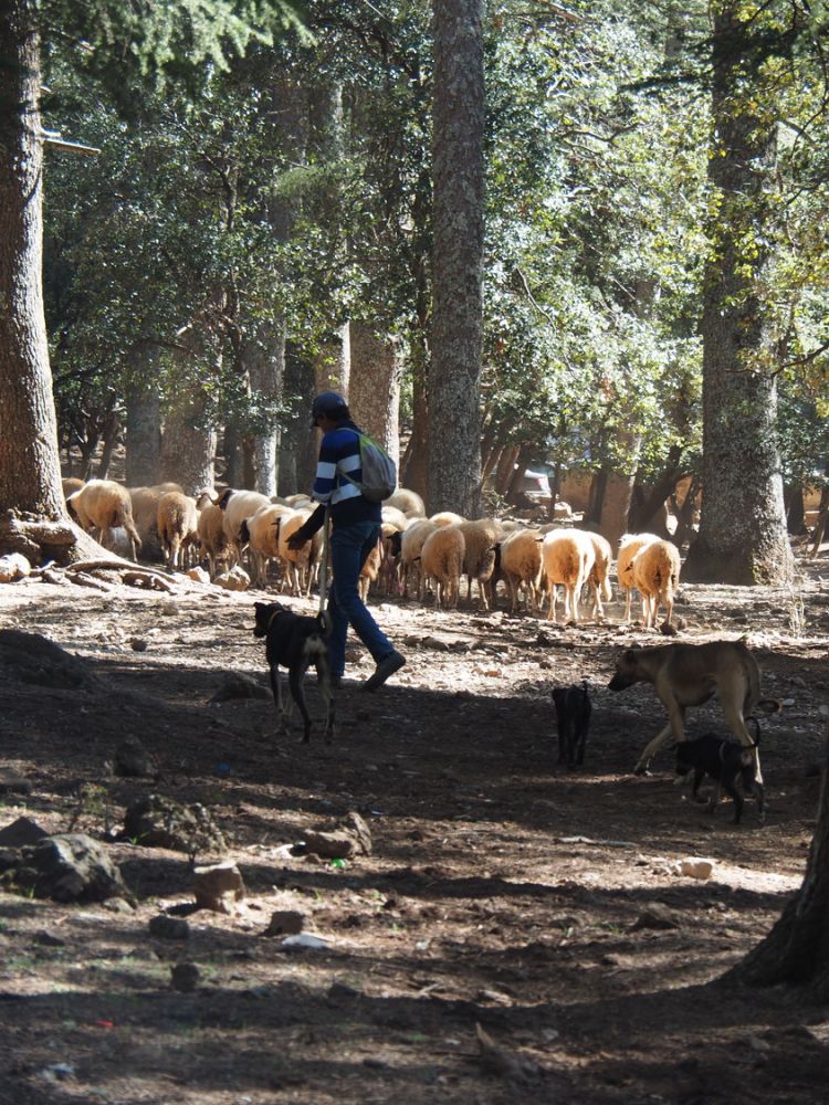 article_1711_Soleil d'automne sur les montagnes du Maroc_12