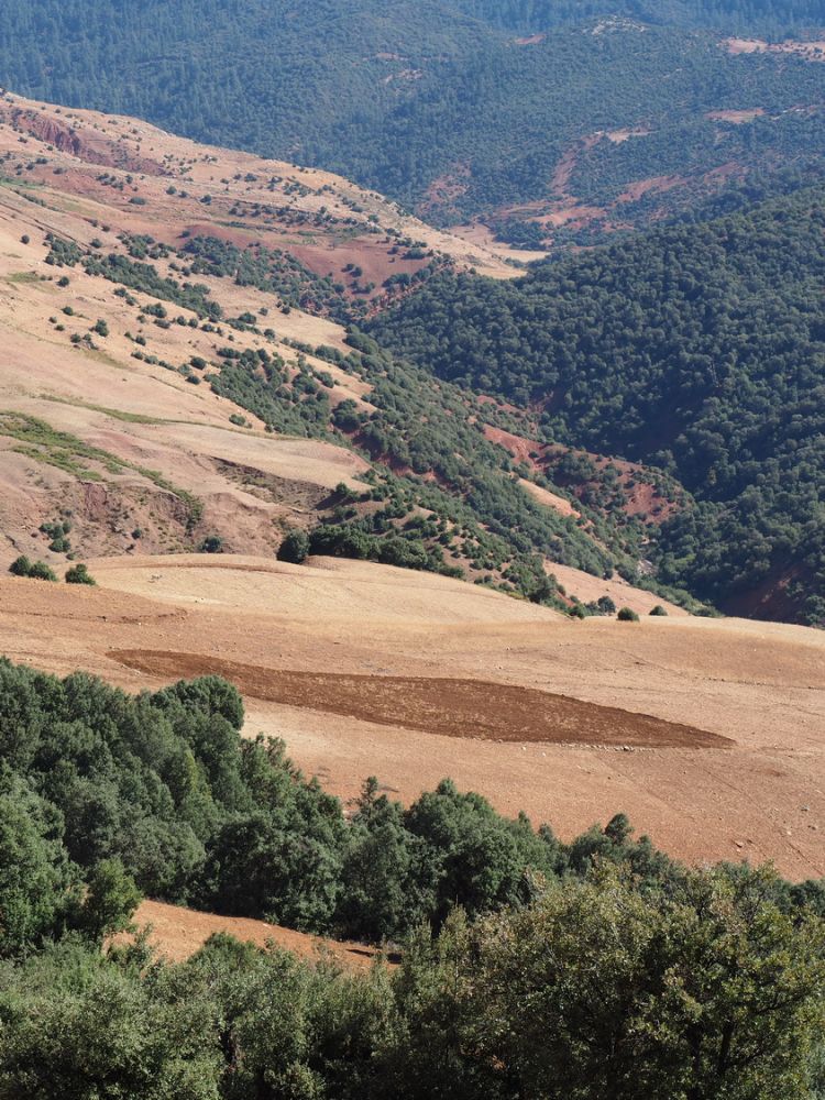 article_1711_Soleil d'automne sur les montagnes du Maroc_20