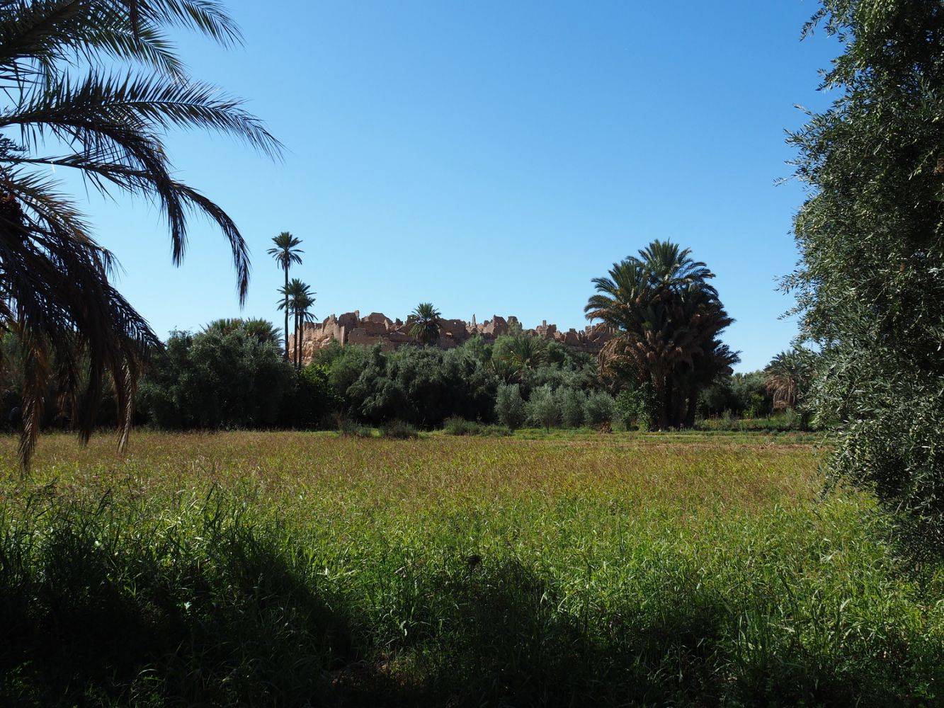 article_1711_Soleil d'automne sur les montagnes du Maroc_22