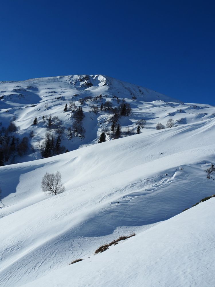 article_1712_C'est l'Hiver à Luchon!_13