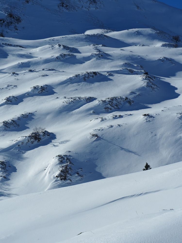 article_1712_C'est l'Hiver à Luchon!_14