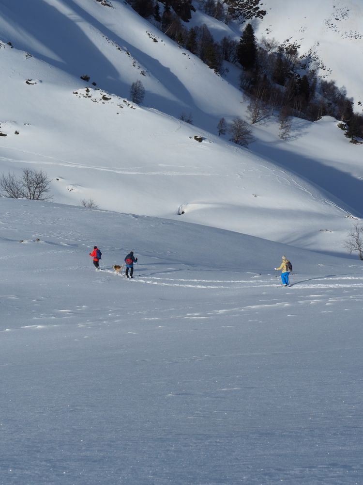 article_1801_Raquettes de Janvier_27