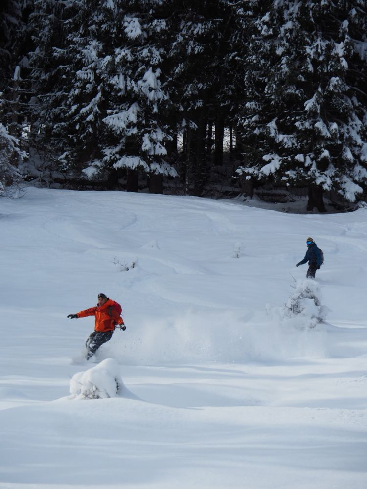 article_1802 Freeride en station Superbagneres_02