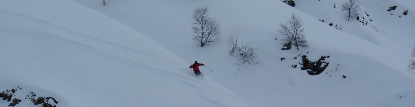 article_1802 Freeride en station Superbagneres_12