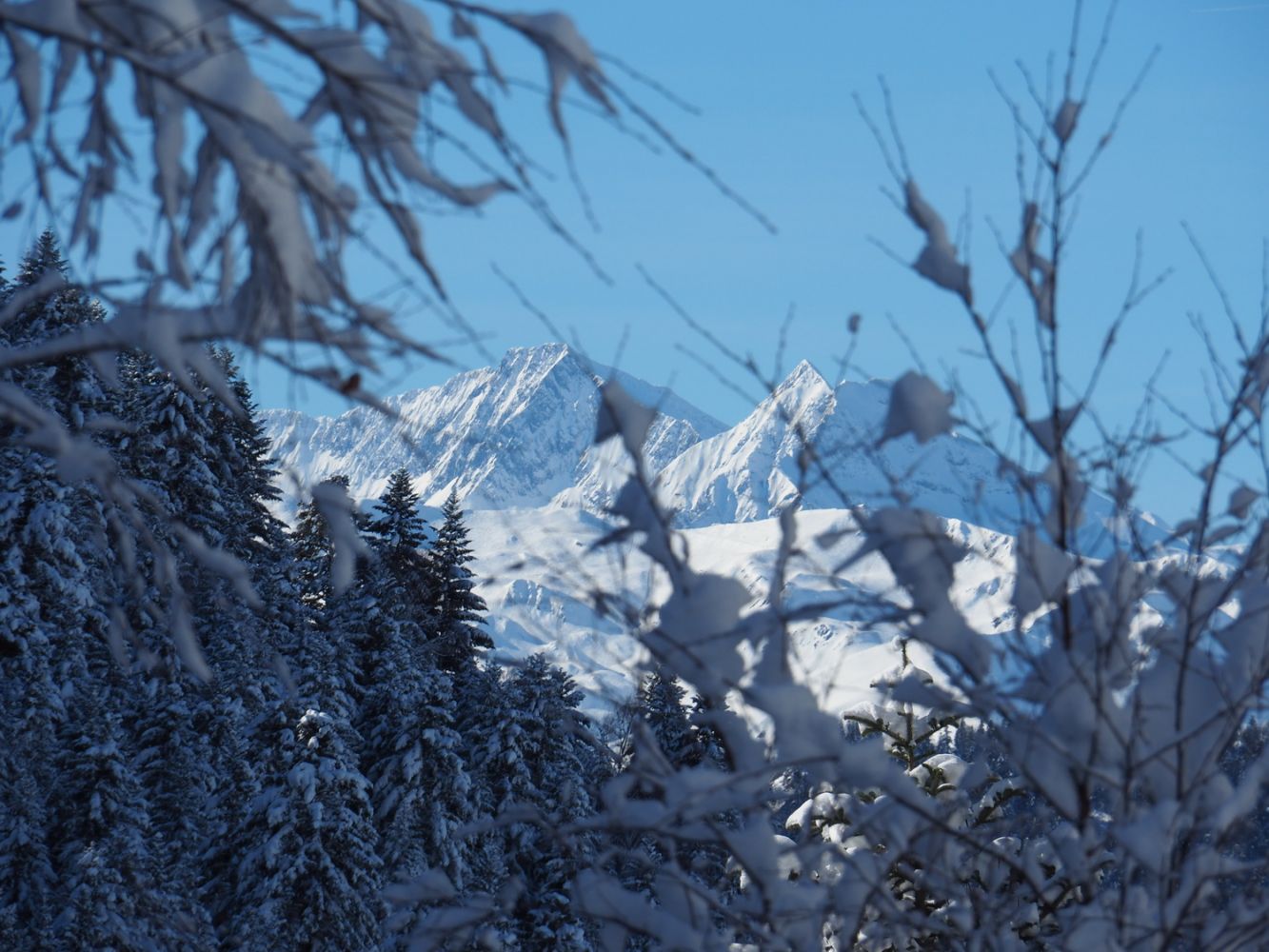 article_1802 Neige de Janvier_00