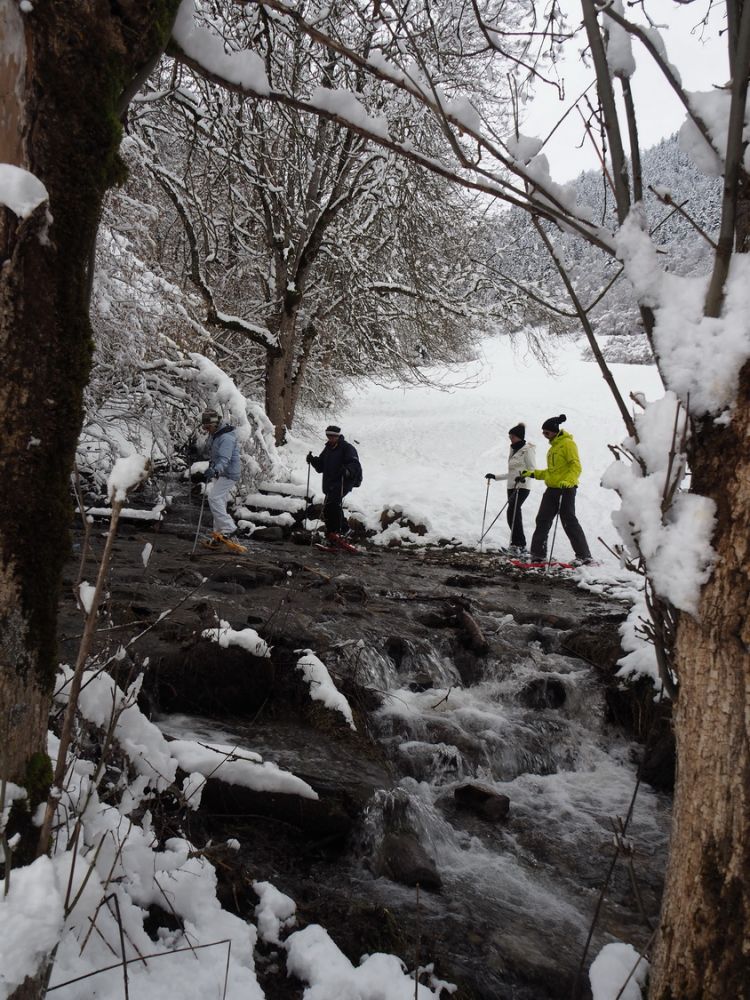 article_1802 Neige de Janvier_09