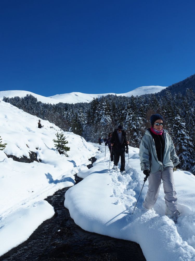 article_1802 Neige de Janvier_17