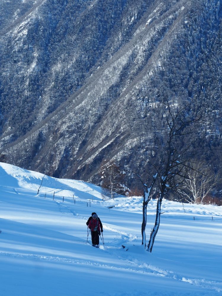article_1802 Neige de Janvier_18