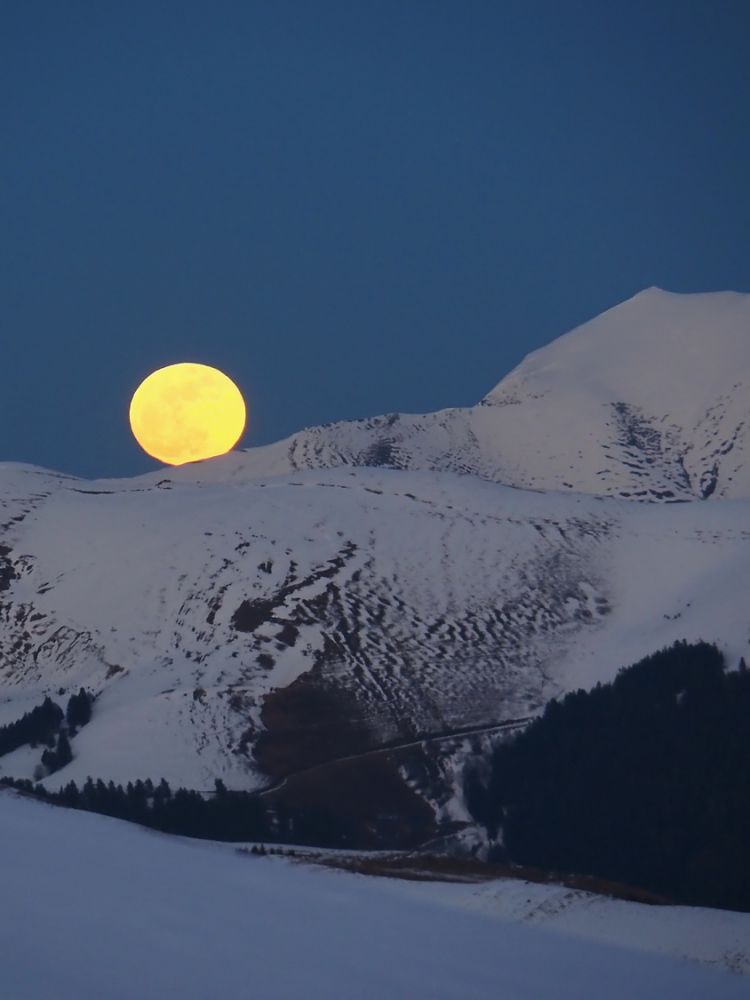 article_1802 Neige de Janvier_22