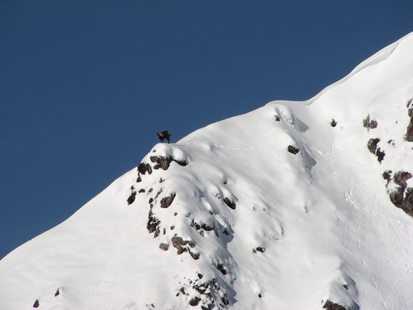 article_Cecire à ski 2015_AFDV_02