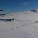 Article_Les rois sont tirés, la neige peut arrivée_03