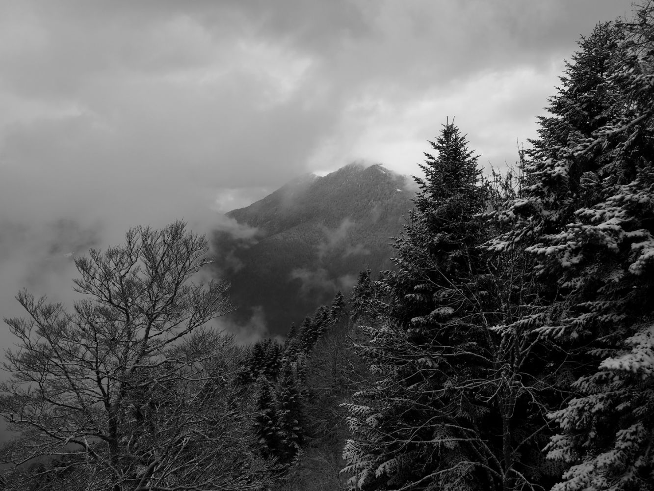 article_Le printemps prends son temps!2016-BG_15