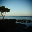 article_Le printemps prends son temps!2016-BG_11