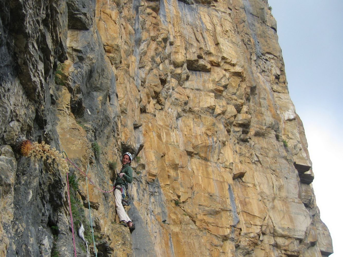 Escalade_afdv_63