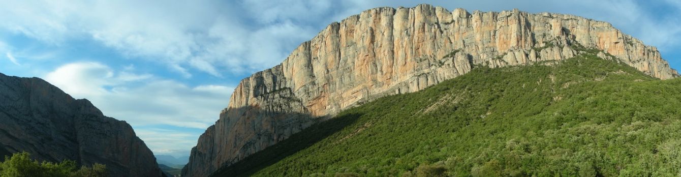 Paysages_ete_afdv_03