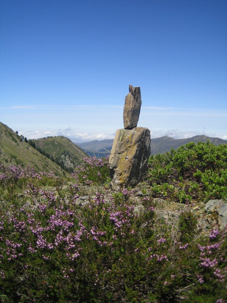 Paysages_ete_afdv_48