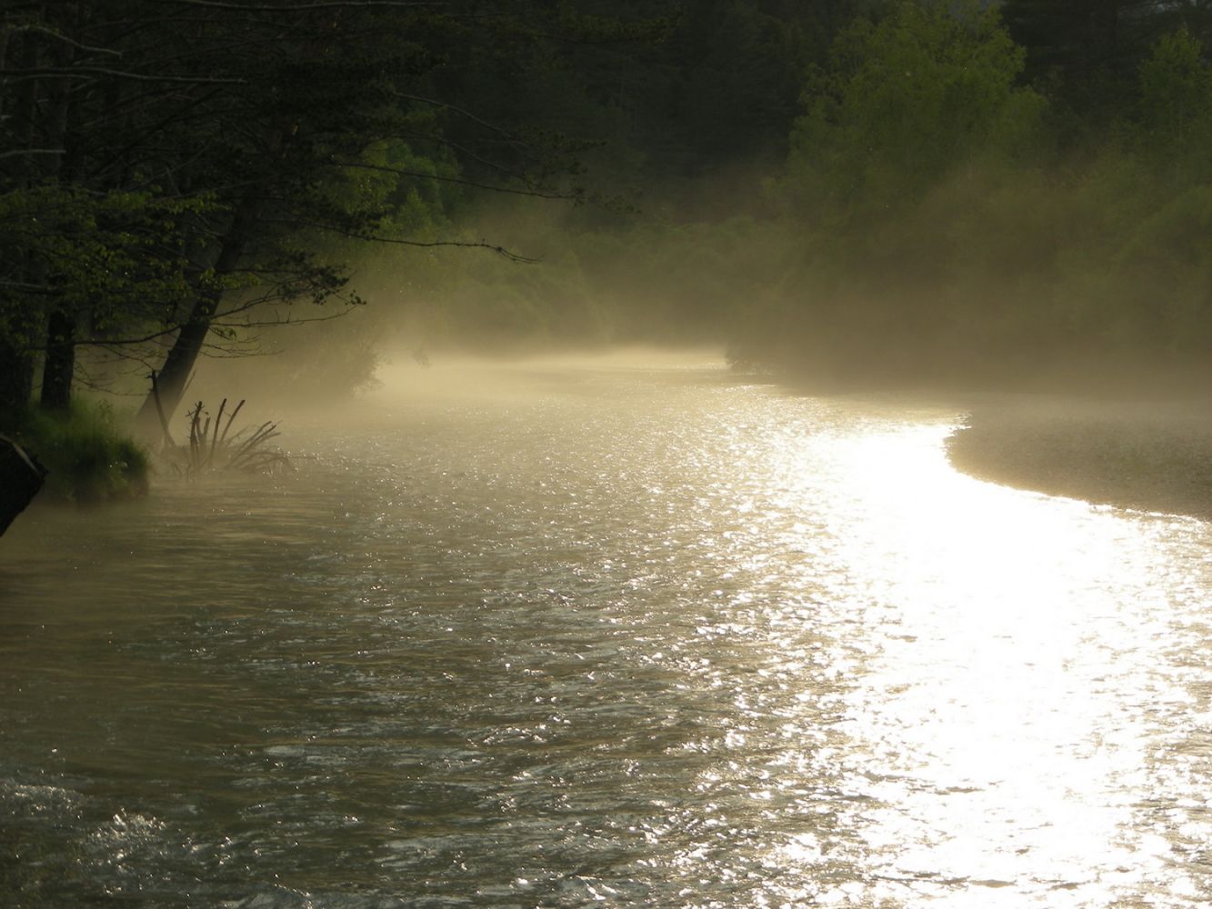 Paysages_ete_afdv_74