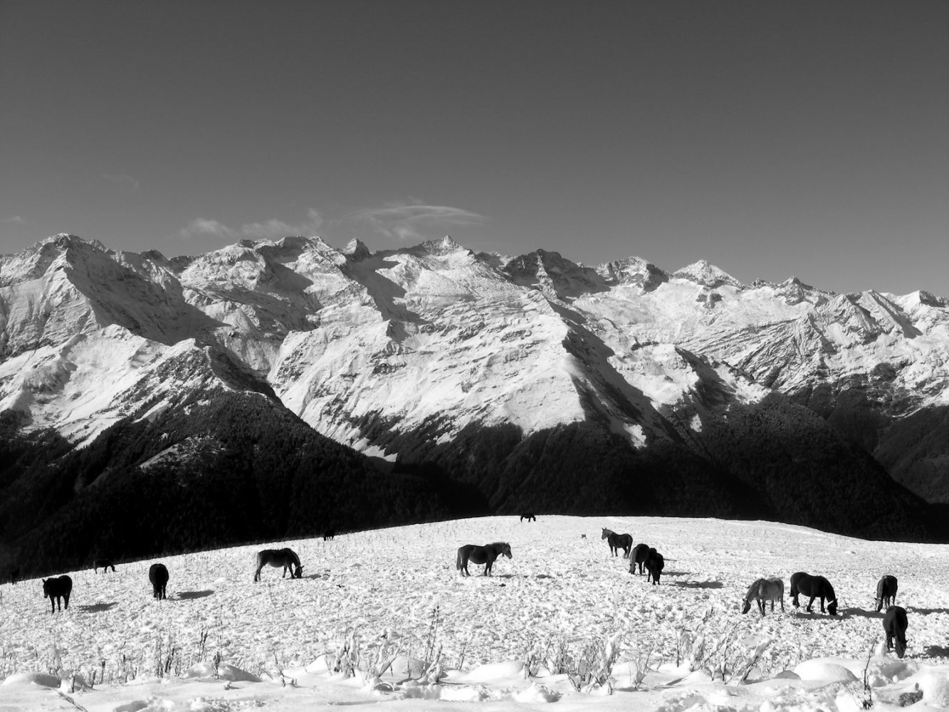 Paysages_hiver_afdv_01