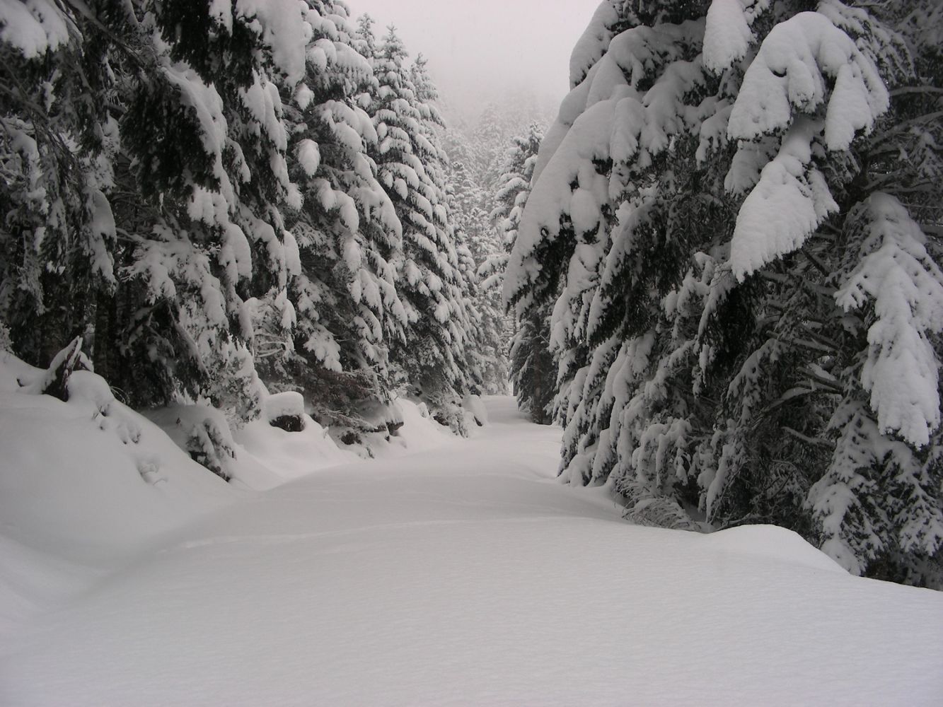 Paysages_hiver_afdv_38