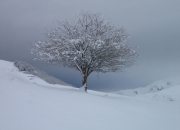 Paysages_hiver_afdv_42
