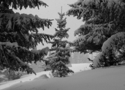 Paysages_hiver_afdv_68