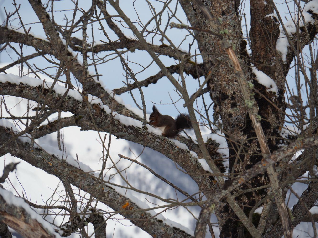 article_1803 Rencontres d'Hiver_00