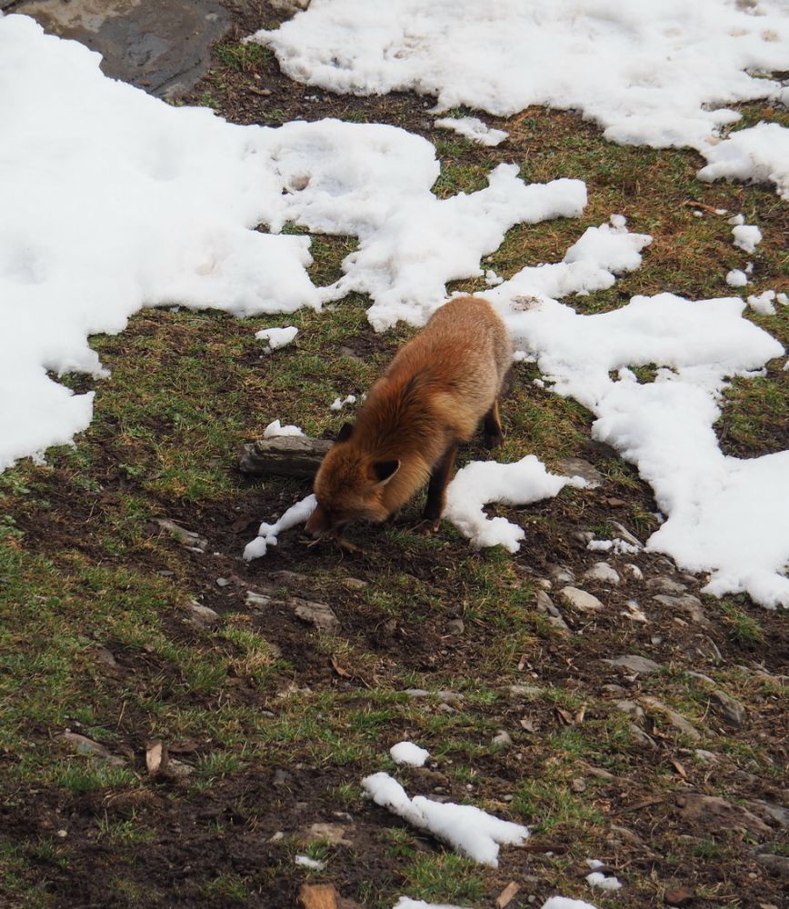 article_1803 Rencontres d'Hiver_05