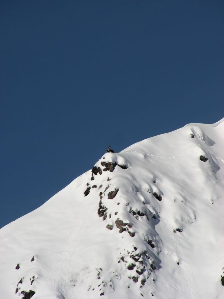 article_1803 Rencontres d'Hiver_09