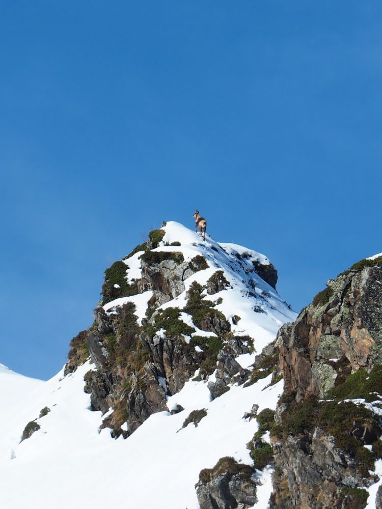 article_1803 Rencontres d'Hiver_10