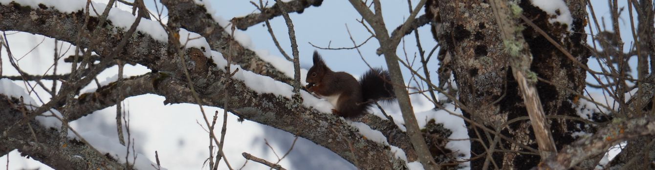 article_1803 Rencontres d'Hiver_16
