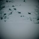 article_1803 Rencontres d'Hiver_04