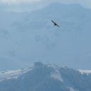 article_1803 Rencontres d'Hiver_11