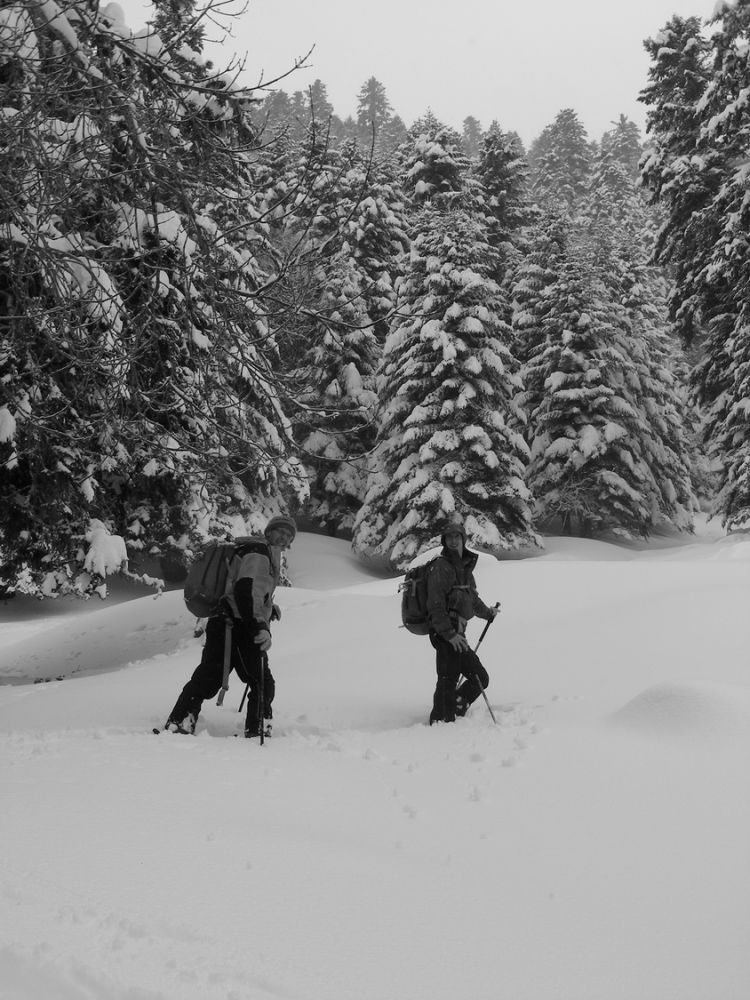 Ski_AFDV_105