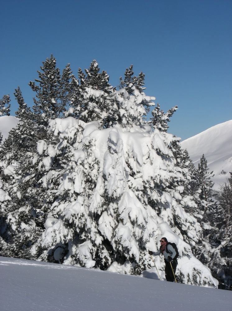 Ski_AFDV_33