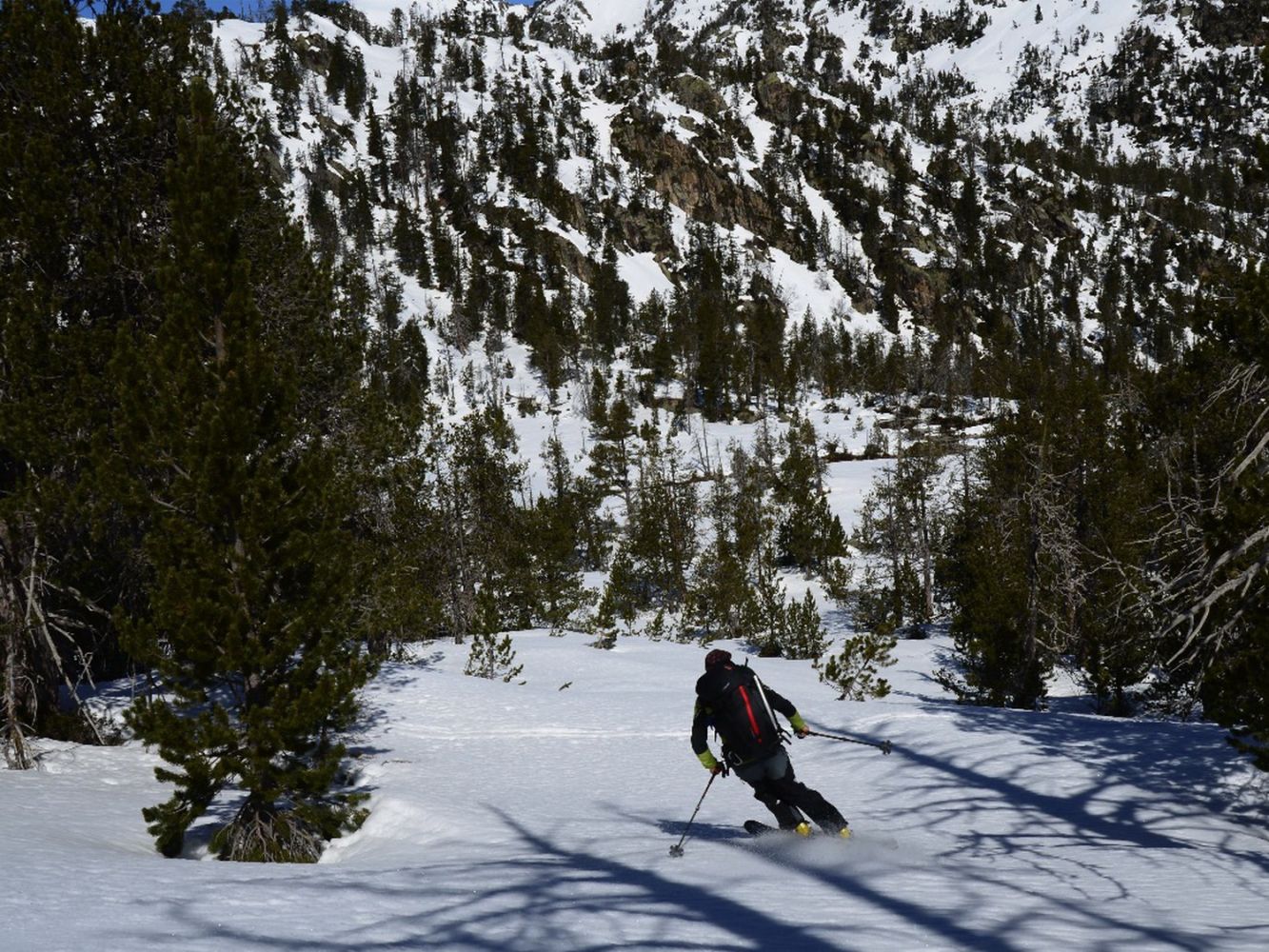 Ski_AFDV_91