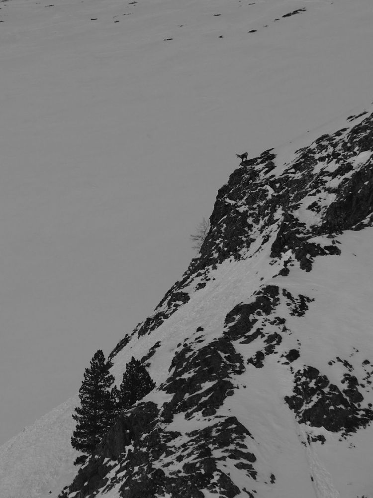 article_1801_Tour d'Horizon du Luchonnais_le Ceciré_19