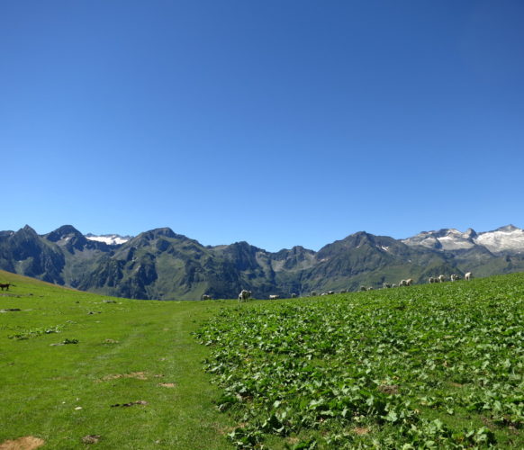 Sejour_Rando_Grand Tour du Val d'Aran_36