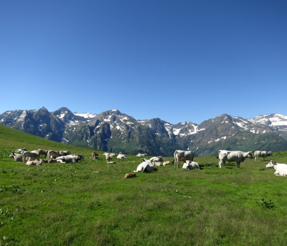 Sejour_Rando_Grand Tour du Val d'Aran_38