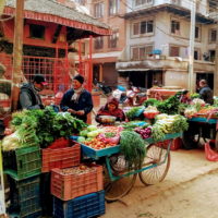 Trek - Nepal 13j-12n_Katmandu_01