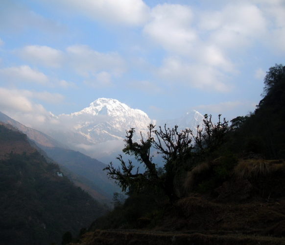 Trek - Nepal 13j-12n_rek Mardi Himal_07