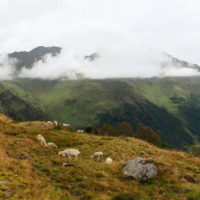 Article_2008_Randonnée_Cirque des Crabioules_06