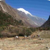 Randonnée - Trek Langtang - Nepal 20j-19n 2022_25