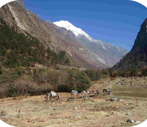 Randonnée - Trek Langtang - Nepal 20j-19n 2022_25